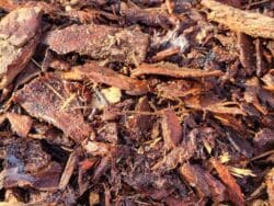 Barkflis (Drive in ) Sælges i 0.5 m3 eller mere ca 300 kg pr.0.5 m3