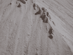 Hvidt sand/strandsand 0-2 mm (Drive in) 1/4 M3 CA 350 KG