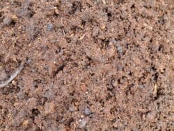 Spagnum fint (Drive in) 1/4 M3 CA 75 KG