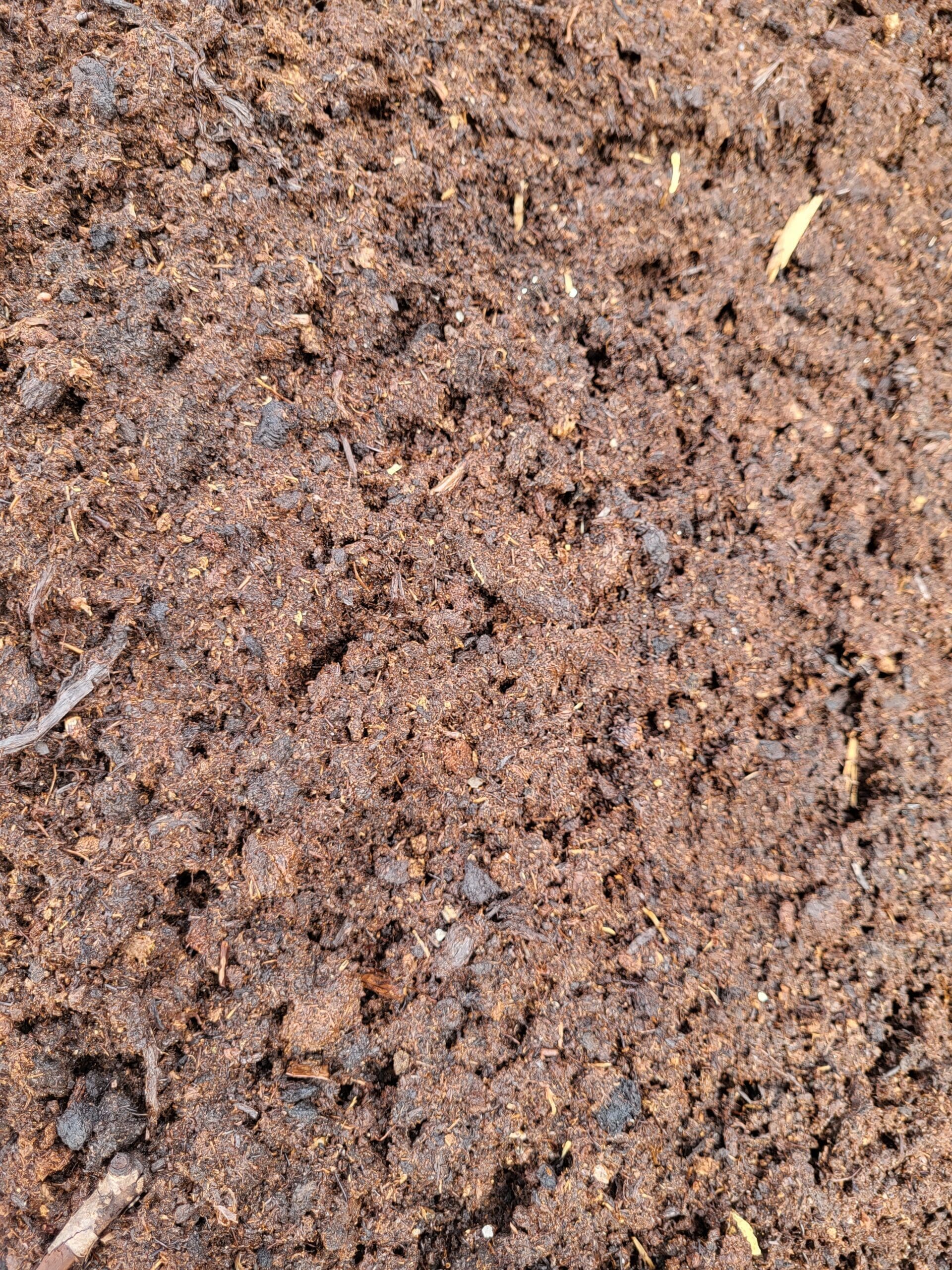 20230320 114301 Kopi