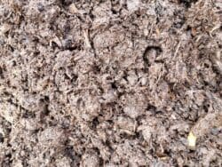 Nyhed Økologisk Champignon kompost (Drive in) sælges i 0,5 m3 eller mere ca 400 kg pr 0.5m3